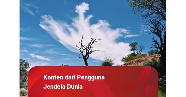 Lesehan Mba Yuki: Santapan Laut Segar di Jalan Srandil yang Tak Pernah Menyesal
